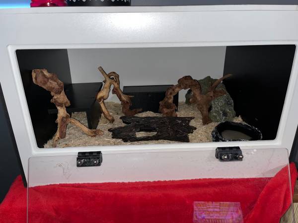 Python cage and contents63920390682755124
