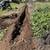 Landscape removal with BOBCAT Tractor, Sod Cutting, Stump Grinding 3 thumbnail