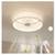 TUCSON UPSCALE CEILING FANS AND LIGHTING AUCTION Friday 7:30pm 10/10/2 9 thumbnail