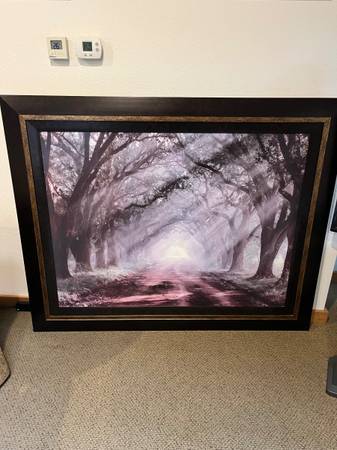 Large picture 1