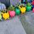 Pig planters , pots for plants 2 thumbnail