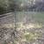 General labor or yardwork 4 thumbnail