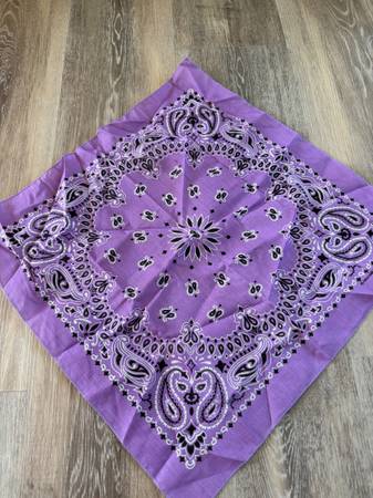 Halloween Bandana 1