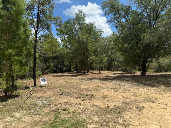 $22,000 / 18000ft2 - .32 Acre Corner Lot Near Gainesville! Fishing, Camping, Beach Nearby (Interlachen)63823026637955121