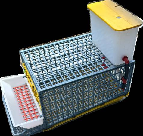 Quail Cages 2 + 1Cimuka Brooder + 4 Coturnix Quails + Incubator 15 egg 1