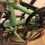 Retrospec Judd Single Speed Folding Bike 6 thumbnail