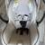Maxi-Cosi Peri 180° Rotating Infant Car Seat + Base – Great Condition 2 thumbnail