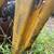 Case 580 B backhoe 15 thumbnail