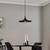 Black and Gold Pendant Light 4 thumbnail