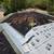 Expert & Reliable Roofing Services You Can Count On 16 thumbnail