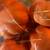 5 pumpkins new 4 thumbnail