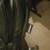 Broyhill Midback Executive Chair 4 thumbnail