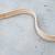 Flexible Dentil crown molding 11 feet 2 thumbnail