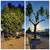 ❀ Landscape Services and Maintenance ❀ Free Estimates!! 11 thumbnail