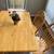 Dining table and chairs 3 thumbnail