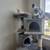 Cat tree $30 each 2 thumbnail