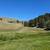 4.8 ac land property for sale borders public land, trees, views, mtns 8 thumbnail