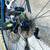 SuperX Carbon Gravel Bike, like new! 14 thumbnail