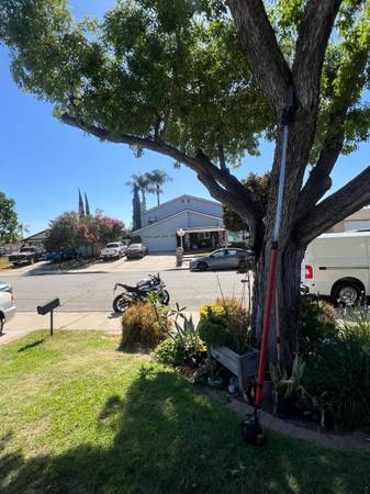 Oregon POWER PRUNER EXTRA LONG REACH 1