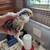 Chicks, Chicks, Chicks 9 thumbnail