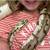 Ball python cage 5 thumbnail