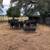 Young Black Angus/Brangus Bulls 2 thumbnail