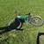 Multiple Bikes 4 thumbnail