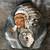 Carved ceramic - Indian War Chief w/Wolves 1 thumbnail
