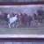 Beautiful Large Wood Framed Wild Horses Photo Wall Hanging. 1 thumbnail