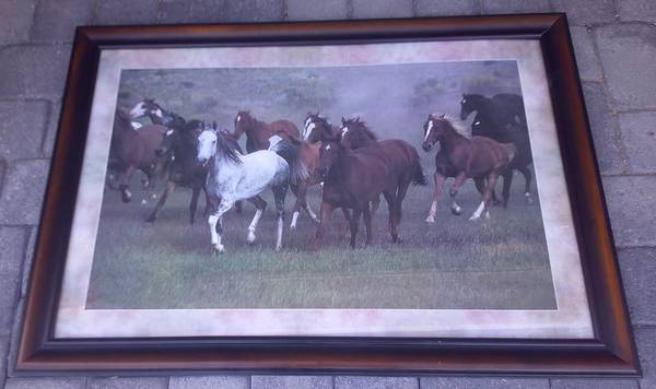 Beautiful Large Wood Framed Wild Horses Photo Wall Hanging. 1