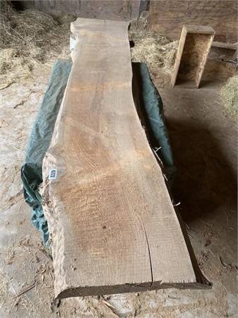 Live edge Maple rough cut 3" thick 1