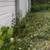 3.45 acres/ Wooded lot 1 thumbnail