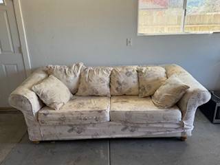 Free Comfortable Couch 1