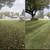 Leaf Removal / Fall Cleanup – South Hills 1 thumbnail