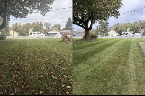 Leaf Removal / Fall Cleanup – South Hills 1