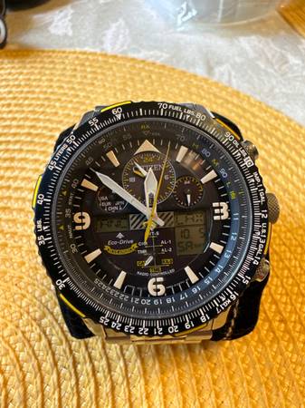 Citizen skyhawk blue angels 1