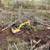Land Clearing and Demolition Work 2 thumbnail