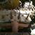 Allis Chalmers 3k lb. Gas forklift , been sitting , not running 10 thumbnail