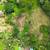 10.67 ACRES – Perfect Development Flat Land Bordered By A River!!!! 8 thumbnail