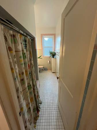 $1,225 / 2br - 160ft2 - Searching Roommate for a big house In Rogers Park (Rogers Park)63899121611394124
