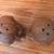 Vintage Lion Salt & Pepper Shakers 6 thumbnail