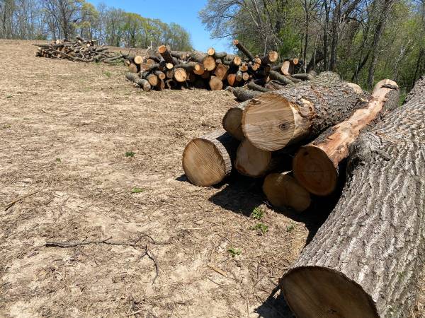 Fire wood and hardwood logs for sale - $100 (Whitehall)63471096403713120