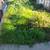 BEST CHOICE LAWN MOWING/GARDENING 7 thumbnail