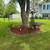 🌲🌳 Everything lawn care outdoor services 16 thumbnail