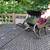 Miniature Sleigh 1 thumbnail