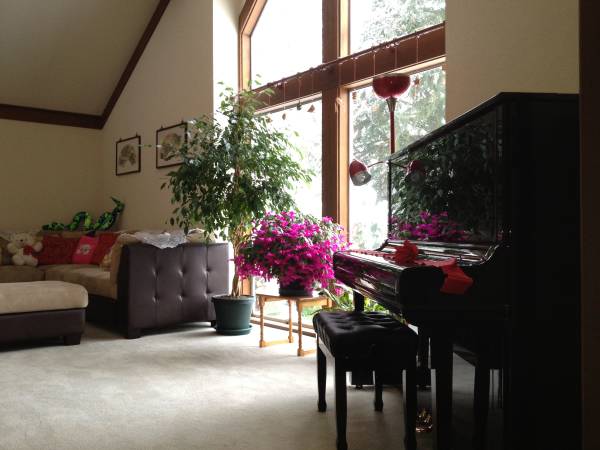 $1,295 / 5br - 3000ft2 - Newly Remodeled Furnished Large Room in Beautiful House (Overlake, Microsoft, Expedia, Crossroad, Infosys)63814860382595121