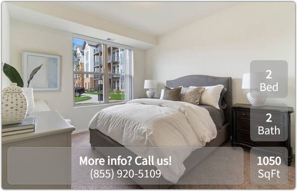 $1,615 / 2br - 1050ft2 - A deal this good doesn't come around every day. 2 Bed, 2 Bath! (New Brighton)63868814436611121