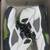 Nike SB 4 thumbnail