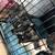 Small Puppies (FRUG)Frenchie Mixed 5 thumbnail