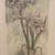 Silver Basket Weave Framed Lily Art Print In Vase 44 X 25 2 thumbnail